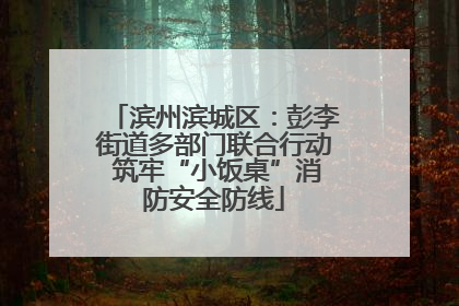 滨州滨城区：彭李街道多部门联合行动 筑牢“小饭桌”消防安全防线