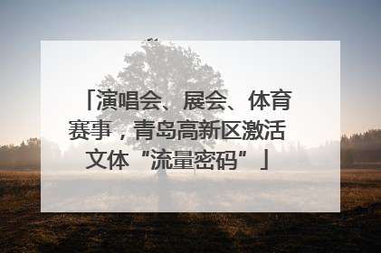 演唱会、展会、体育赛事，青岛高新区激活文体“流量密码”