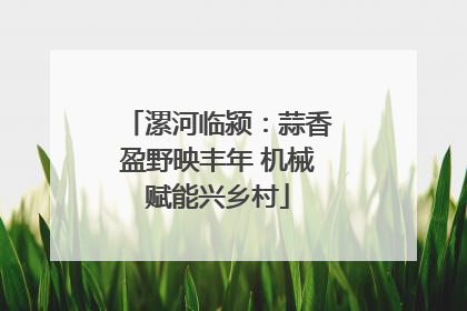 漯河临颍：蒜香盈野映丰年 机械赋能兴乡村