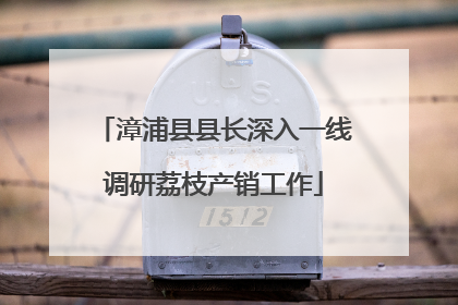 漳浦县县长深入一线调研荔枝产销工作