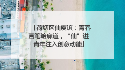 荷塘区仙庾镇：青春画笔绘廊道，“仙”进青年注入创意动能