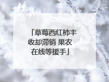 草莓西红柿丰收却滞销 果农在线等援手