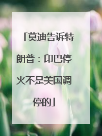 莫迪告诉特朗普：印巴停火不是美国调停的