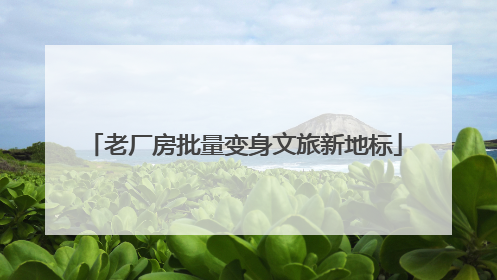老厂房批量变身文旅新地标