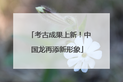 考古成果上新！中国龙再添新形象