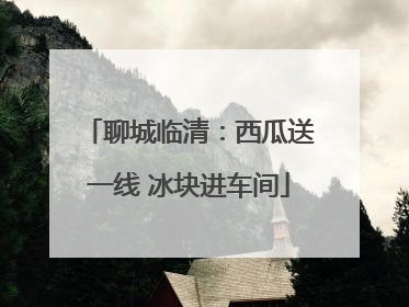 聊城临清：西瓜送一线 冰块进车间