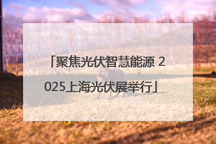 聚焦光伏智慧能源 2025上海光伏展举行