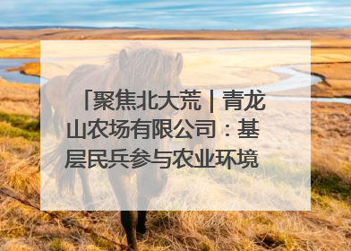 聚焦北大荒｜青龙山农场有限公司：基层民兵参与农业环境综合治理显效