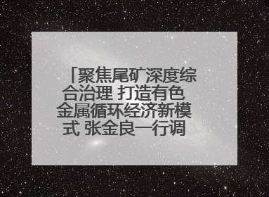 聚焦尾矿深度综合治理 打造有色金属循环经济新模式 张金良一行调研栾川县尾矿库综合治理工作