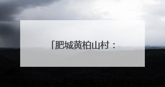 肥城黄柏山村：山野间绘就“小而美”乡村诗画