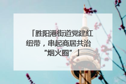 胜阳港街道党建红纽带，串起商居共治 “烟火圈”
