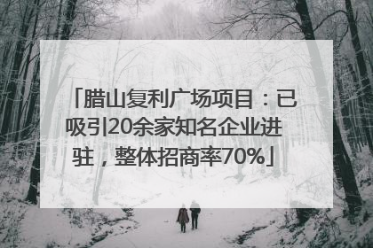 腊山复利广场项目：已吸引20余家知名企业进驻，整体招商率70%