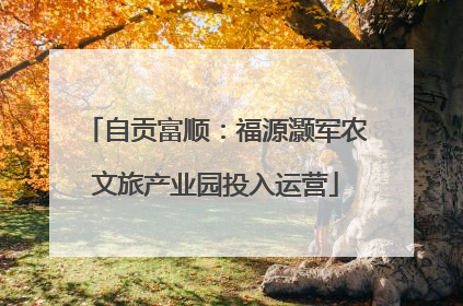 自贡富顺：福源灏军农文旅产业园投入运营