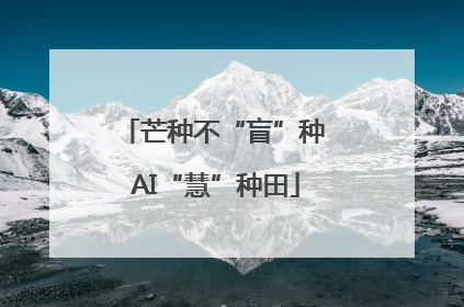 芒种不“盲”种 AI“慧”种田