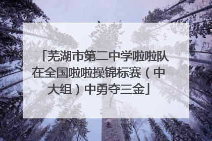 芜湖市第二中学啦啦队在全国啦啦操锦标赛（中大组）中勇夺三金