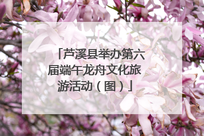 芦溪县举办第六届端午龙舟文化旅游活动（图）