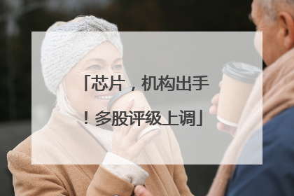 芯片，机构出手！多股评级上调