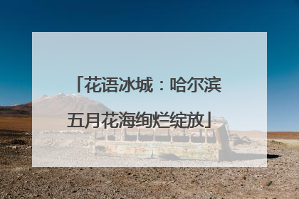 花语冰城：哈尔滨五月花海绚烂绽放