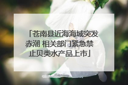 苍南县近海海域突发赤潮 相关部门紧急禁止贝类水产品上市