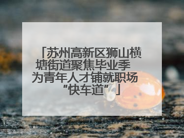 苏州高新区狮山横塘街道聚焦毕业季 为青年人才铺就职场“快车道”