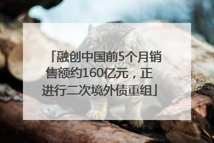 融创中国前5个月销售额约160亿元，正进行二次境外债重组