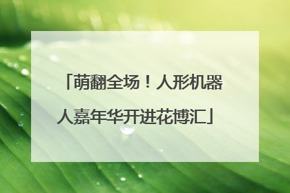 萌翻全场！人形机器人嘉年华开进花博汇