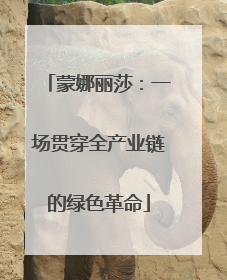 蒙娜丽莎：一场贯穿全产业链的绿色革命