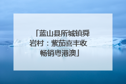 蓝山县所城镇舜岩村：紫茄喜丰收 畅销粤港澳