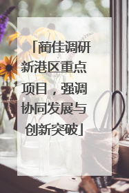蔺佳调研新港区重点项目，强调协同发展与创新突破