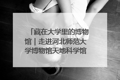 藏在大学里的博物馆｜走进河北师范大学博物馆天地科学馆：在校园里赴一场“宇宙之约”