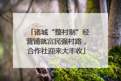诸城“整村制”经营铺就富民强村路，合作社迎来大丰收