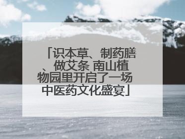 识本草、制药膳、做艾条 南山植物园里开启了一场中医药文化盛宴