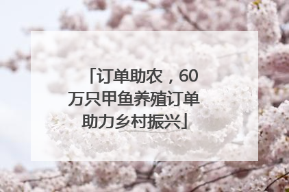 订单助农，60万只甲鱼养殖订单助力乡村振兴