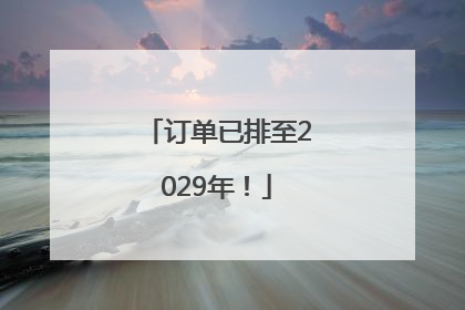 订单已排至2029年！