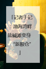 记者手记：渤海湾畔盐碱滩变身“新粮仓”