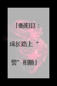 衡阳县：成长路上“警”相随