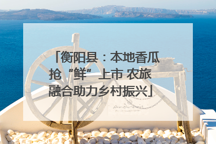 衡阳县：本地香瓜抢“鲜”上市 农旅融合助力乡村振兴