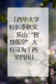 西华大学校长李秋实：乐山“智慧低空”大有可为｜西望四川