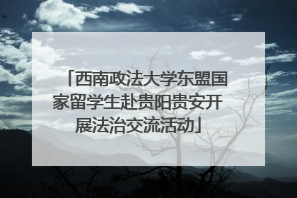 西南政法大学东盟国家留学生赴贵阳贵安开展法治交流活动