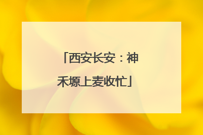 西安长安：神禾塬上麦收忙