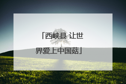 西峡县 让世界爱上中国菇