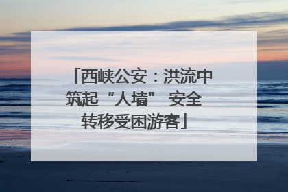 西峡公安：洪流中筑起“人墙” 安全转移受困游客