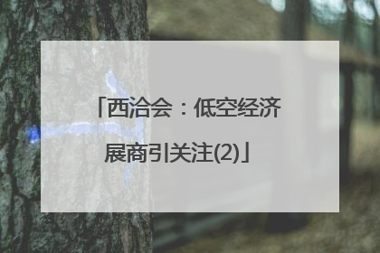 西洽会：低空经济展商引关注(2)