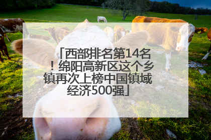 西部排名第14名！绵阳高新区这个乡镇再次上榜中国镇域经济500强
