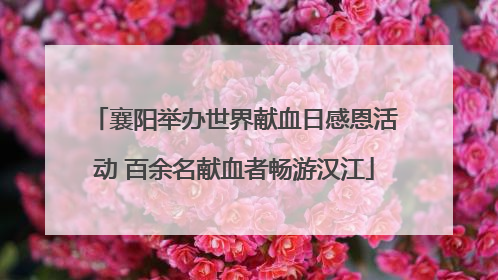 襄阳举办世界献血日感恩活动 百余名献血者畅游汉江