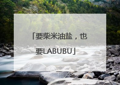 要柴米油盐，也要LABUBU