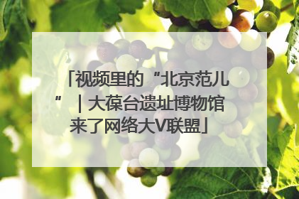 视频里的“北京范儿”｜大葆台遗址博物馆来了网络大V联盟