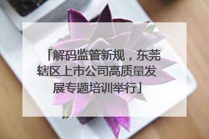 解码监管新规，东莞辖区上市公司高质量发展专题培训举行