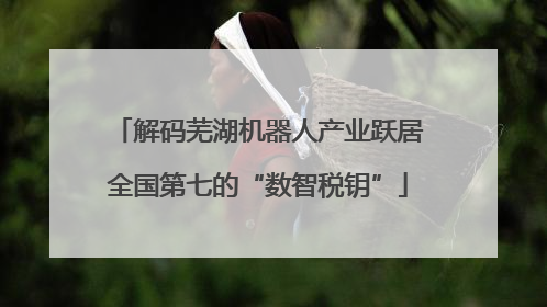 解码芜湖机器人产业跃居全国第七的“数智税钥”