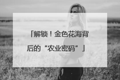 解锁！金色花海背后的“农业密码”